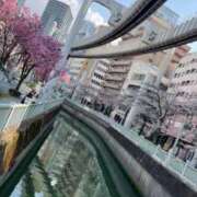 ヒメ日記 2026/03/30 04:03 投稿 富田 MadameRest(マダムレスト)