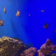 ヒメ日記 2026/04/17 16:47 投稿 富田 MadameRest(マダムレスト)