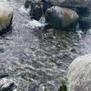 ヒメ日記 2026/04/25 17:38 投稿 富田 MadameRest(マダムレスト)