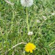 富田 thx~!!🧸💜 MadameRest(マダムレスト)