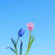 ヒメ日記 2026/05/05 16:12 投稿 富田 MadameRest(マダムレスト)