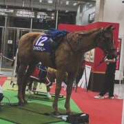 ヒメ日記 2026/05/31 23:31 投稿 富田 MadameRest(マダムレスト)