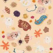 ヒメ日記 2026/03/03 12:00 投稿 北村　えりか スッキリ商事