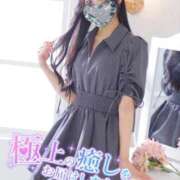 ヒメ日記 2025/11/12 12:15 投稿 のん 東京リップ 上野店