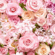 ヒメ日記 2026/04/01 18:56 投稿 みきえ 越谷熟女デリヘル マダムエプロン