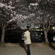 ヒメ日記 2025/04/22 23:51 投稿 若菜【ワカナ】 ピンクコレクション大阪