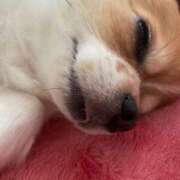 ヒメ日記 2025/10/16 01:34 投稿 つかさ AFTER V（アフターファイブ）