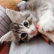 ヒメ日記 2025/10/26 22:37 投稿 つかさ AFTER V（アフターファイブ）