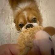 ヒメ日記 2025/10/28 21:55 投稿 つかさ AFTER V（アフターファイブ）