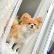 ヒメ日記 2025/11/01 20:20 投稿 つかさ AFTER V（アフターファイブ）