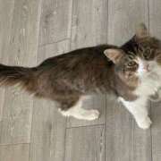 つかさ 本日出勤🚗 ³₃ AFTER V（アフターファイブ）