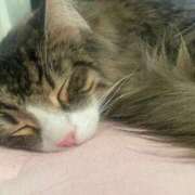 ヒメ日記 2025/12/28 21:32 投稿 つかさ AFTER V（アフターファイブ）