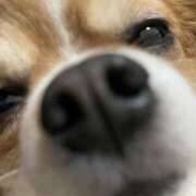 ヒメ日記 2026/01/21 22:06 投稿 つかさ AFTER V（アフターファイブ）