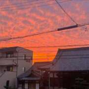 ヒメ日記 2025/03/26 11:21 投稿 ひより ごほうびSPA名古屋店