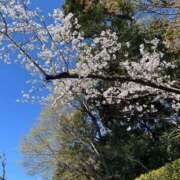 ヒメ日記 2025/04/05 15:41 投稿 ひより ごほうびSPA名古屋店