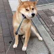 ヒメ日記 2026/02/04 11:47 投稿 長谷部えみり 美魔女エステ