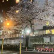 ヒメ日記 2026/04/06 14:27 投稿 長谷部えみり 麗しいマダム