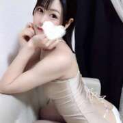 ヒメ日記 2025/02/28 08:42 投稿 月城まゆ AJ DOLLS(エージェイドールズ)