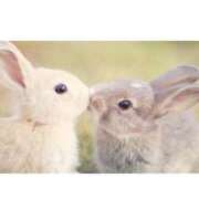 いずみ 🐰 チェックイン素人専門大人女子