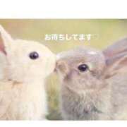 いずみ 🐰 チェックイン素人専門大人女子