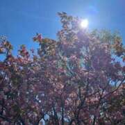 ヒメ日記 2025/07/03 07:00 投稿 ありす☆はい！大当たり！！ JKサークル