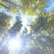 ヒメ日記 2025/11/15 12:02 投稿 ありす☆はい！大当たり！！ JKサークル