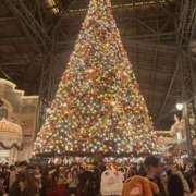 ヒメ日記 2025/11/25 20:02 投稿 ありす☆はい！大当たり！！ JKサークル