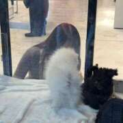 ヒメ日記 2025/12/05 21:16 投稿 ありす☆はい！大当たり！！ JKサークル