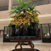 ありす☆はい！大当たり！！ Goodmorning☀️ JKサークル