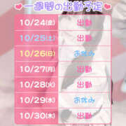 ヒメ日記 2025/10/24 12:03 投稿 ひめか メイドde本舗