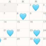 ヒメ日記 2024/12/26 15:35 投稿 Yurina THE PREMIUM （プレミアム）