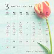 ヒメ日記 2025/02/20 00:02 投稿 陽月 涼子 癒しの円環～Art of Massage～五反田