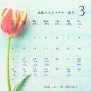 ヒメ日記 2025/02/28 10:57 投稿 陽月 涼子 癒しの円環～Art of Massage～五反田