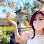 ヒメ日記 2025/05/06 12:55 投稿 陽月 涼子 癒しの円環～Art of Massage～五反田