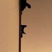 ヒメ日記 2025/08/10 06:45 投稿 ★生田まりあ★ CLUB39（クラブサンキュー）