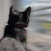 ヒメ日記 2025/10/28 15:57 投稿 ★生田まりあ★ CLUB39（クラブサンキュー）