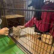 ヒメ日記 2026/01/23 17:12 投稿 ★生田まりあ★ CLUB39（クラブサンキュー）