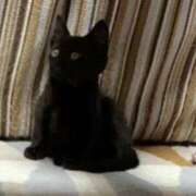 ヒメ日記 2026/01/30 07:19 投稿 ★生田まりあ★ CLUB39（クラブサンキュー）