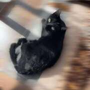 ヒメ日記 2026/02/22 08:31 投稿 ★生田まりあ★ CLUB39（クラブサンキュー）