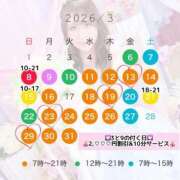 ★生田まりあ★ 🌸3月出勤🌸 CLUB39（クラブサンキュー）