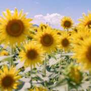 ヒメ日記 2025/08/04 21:04 投稿 らん 恋の履歴書