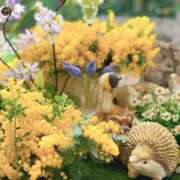 らん 2026年初日記♡ 恋の履歴書