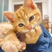 ヒメ日記 2025/01/24 19:40 投稿 ナナオARR 甲府人妻隊