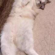 ヒメ日記 2025/01/26 22:30 投稿 ナナオARR 甲府人妻隊