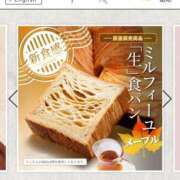 ヒメ日記 2025/02/15 14:32 投稿 ナナオARR 甲府人妻隊