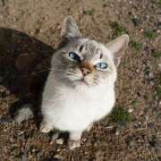 ヒメ日記 2025/03/20 22:30 投稿 ナナオARR 甲府人妻隊