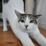 ヒメ日記 2025/04/09 20:45 投稿 ナナオARR 甲府人妻隊