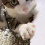 ヒメ日記 2025/06/13 18:57 投稿 ナナオARR 甲府人妻隊