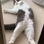 ヒメ日記 2025/07/15 21:12 投稿 ナナオARR 甲府人妻隊