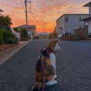 ヒメ日記 2025/10/25 12:06 投稿 ナナオARR 甲府人妻隊